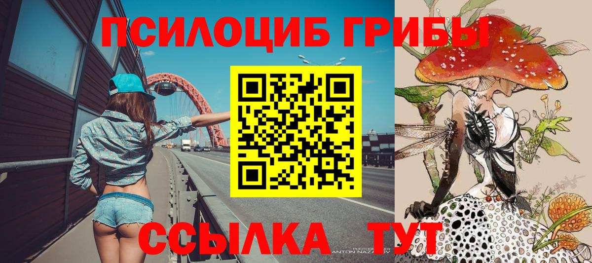 Галлюциногенные грибы Cubensis Нарткала