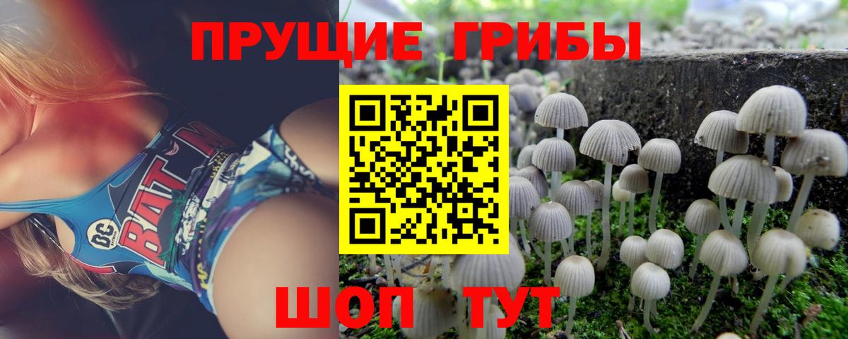 Галлюциногенные грибы прущие грибы  Вход с VPN  Нарткала 
